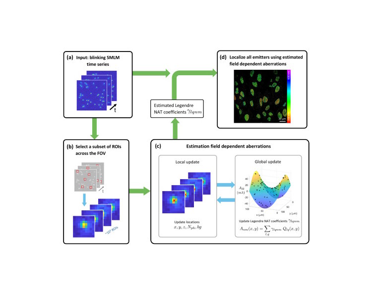 Calibration-free estimation of field-dependent aberrations for single-molecule localization microscopy